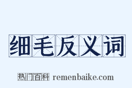细毛反义词是什么意思的图片